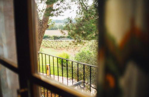 Finca Agroturismo Son Menut - Foto 15