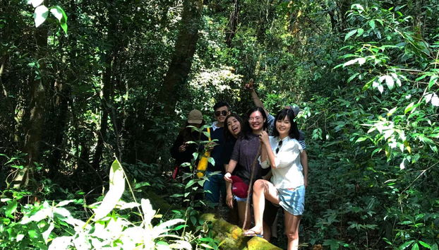 Atravessando o bosque