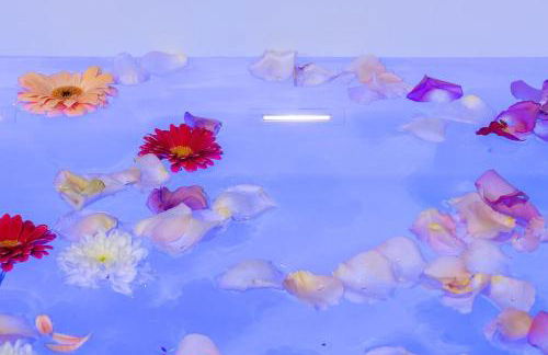 Host Inn Fancy Sūite - Photo 77