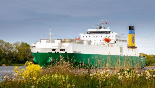 *lütt* Ferienwohnungen lütt & groot - Photo 4