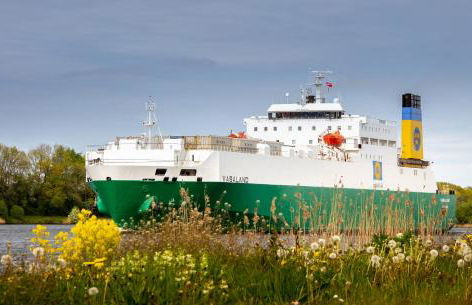 *groot* Ferienwohnungen lütt & groot - Photo 9