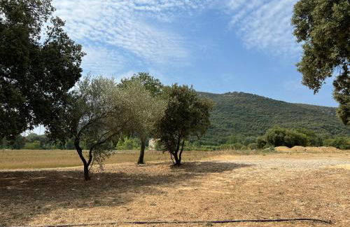 Mas Grenadine, magnifique villa du Piémont Cévenol - Foto 26