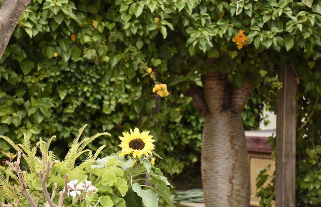 Casas Rurales Los Gavilanes - Foto 40