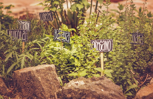 U Svatého Petra - Foto 42