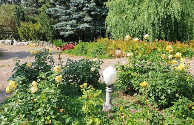 Kamienny Ogród Holiday Park - Foto 34