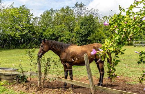 Tranquil Mountain Escape Luxurious 5-Bedroom Farmhouse with Pool - Foto 36