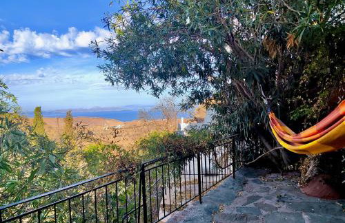 Ioulis Century Home - Photo 12