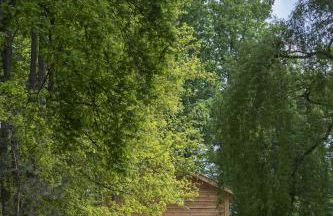 Le Monde de Charlie - Les Cabanes - Foto 12