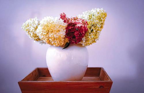 Willa pod Lipami - Photo 35