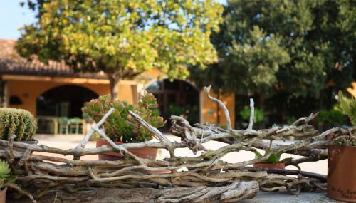 Agriturismo La Montina - Foto 5, Garden