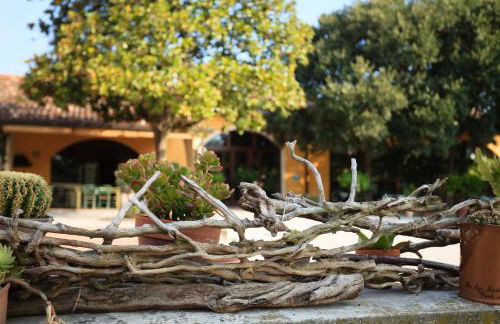 Agriturismo La Montina - Foto 5