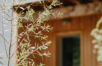 La Maison Augustine - Photo 46