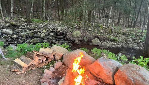 Twin Pines Lake Resort 1 - Foto 5