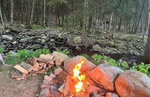 Twin Pines Lake Resort 1 - Foto 5