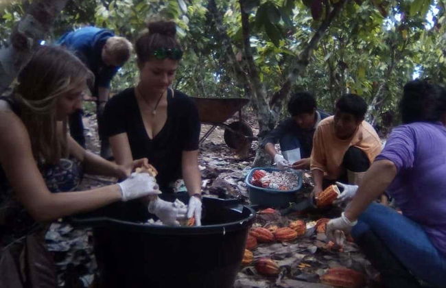Puerto Inca Chocolate Workshop - Foto 2