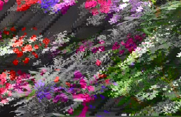 Salisbury St Villa 1 - Foto 42