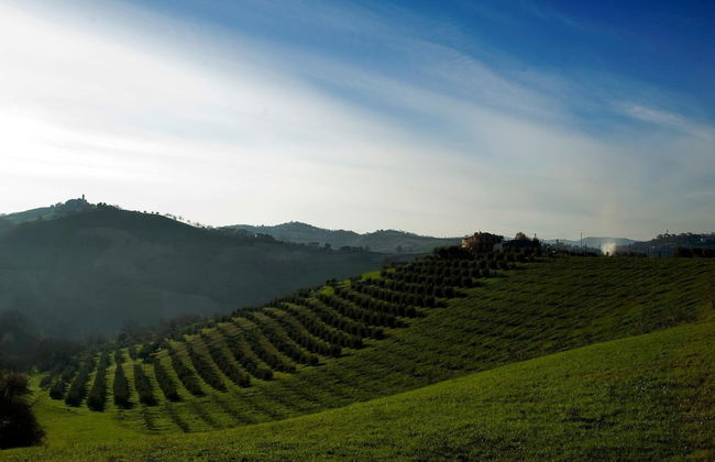 Agriturismo Serena - Photo 32