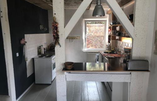 UkuleleHaus Lunow am Nationalpark Unteres Odertal - Foto 12