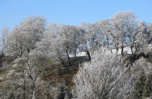 Fig Cottage - Photo 21