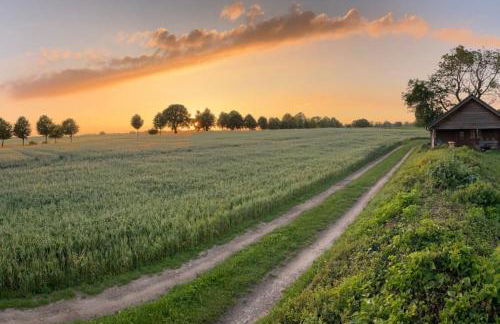 Ferienhaus am Poggensee - Foto 4