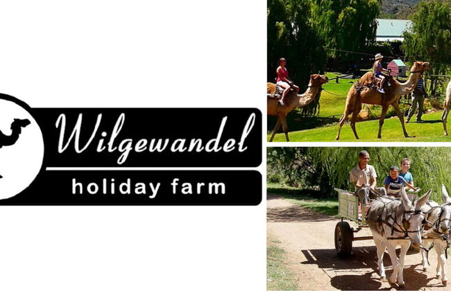 The Bright House Villa - Foto 37