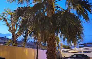 King`s Apartments - Foto 58