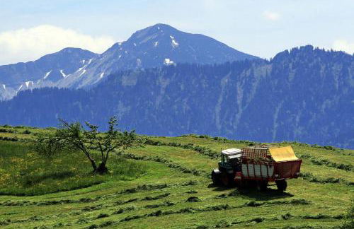 ALPEN WOHLFÜHLQUARTIER - Foto 3