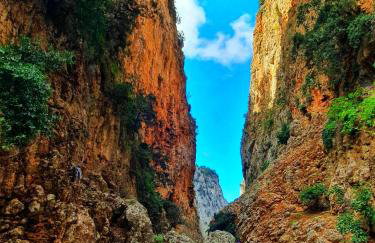 Traditional Villa Askyfou - Photo 68