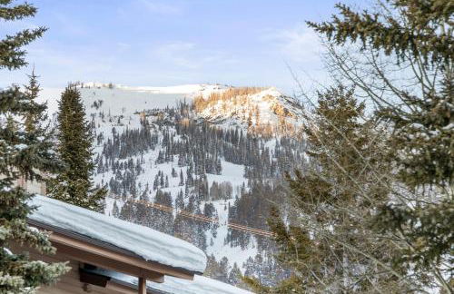 Abode at Sundance - Foto 42