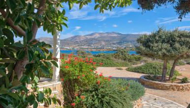 Glaros Studios Apartments - Foto 5, Garden