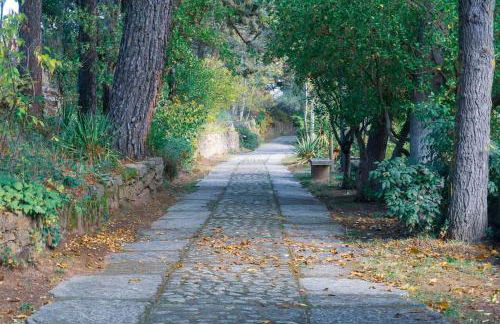 Peñagorda, casa con vistas en Barco de Ávila - Photo 36