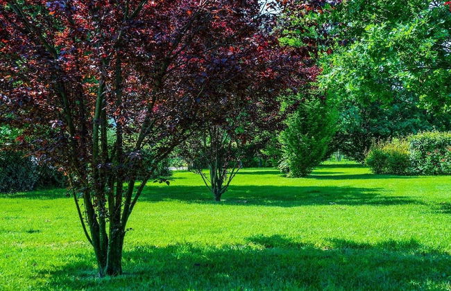 Agriturismo Il Brugnolo - Foto 53