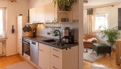 Ferienwohnung Fichtelsonne - Foto 3, stove, dishwasher, pet friendly, toaster