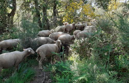 Casa da Vinha - Foto 27