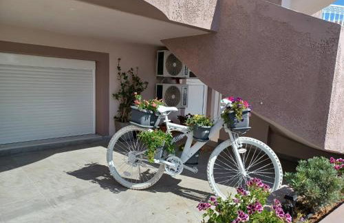 Comfort House Mimosa 2 - Photo 48