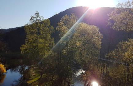 Apartment Pegnitzmühle mit Pegnitzinsel - Foto 14