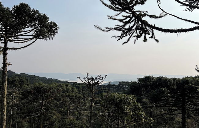 Bulawayo Lodge - Foto 48