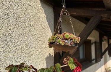 Eleni Country Cottage 2 - Foto 47