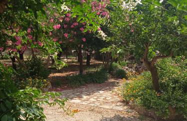 Alegria house with gardens near portoheli - Foto 78