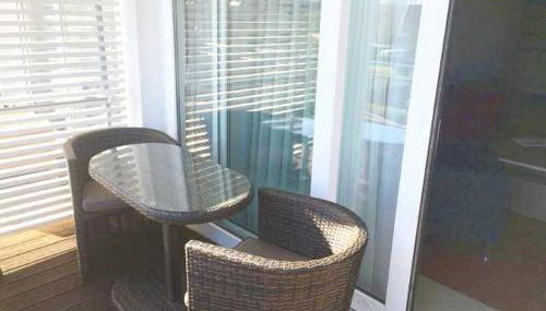 Schneeeule 203 - Foto 4