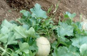 APARTMENTS ANA - Foto 68