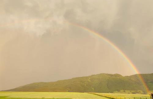 Ferienwohnung Sonnenblume - Photo 15