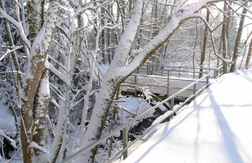 Ferienwohnungen Schönbachtal - Foto 15