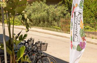 Resilienza Tropical Apartments & Room - Foto 42