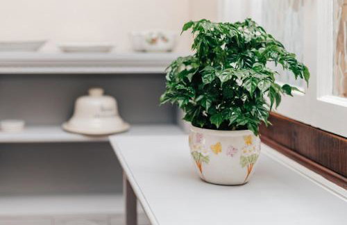 Park End House - Parking Pet Friendly - From 180 Per Night - Foto 42