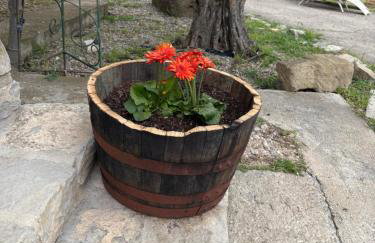 Finca Alboroto - Foto 15