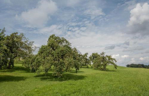 Casa Rindler - Foto 14