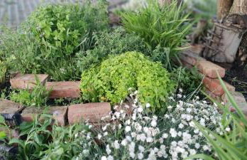 Żurawisko - Domki wśród natury - Foto 32