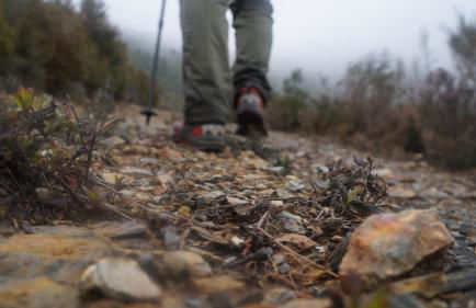 Casa da Quelha - Foto 59