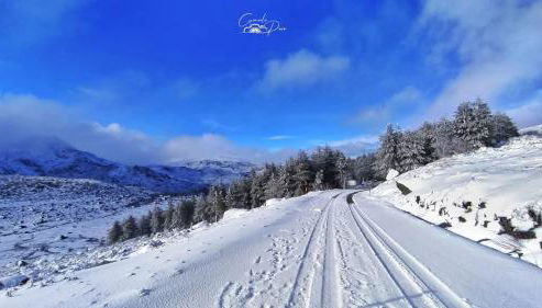 Pure Mountain - Serra da Estrela - Foto 4
